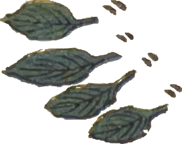 6643985-15