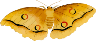 蛾26の浮世絵昆虫フリー素材