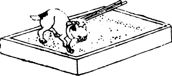 7032997-08