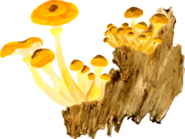 Thumbnail of post image 044