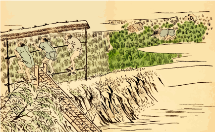 Thumbnail of post image 057