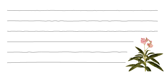 Thumbnail of post image 031