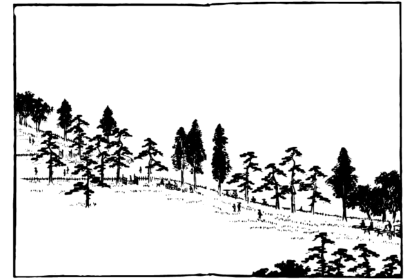 9264653_2-07