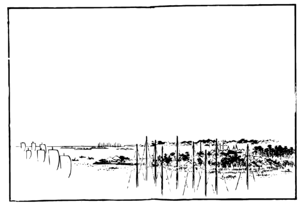 9264653_4-05