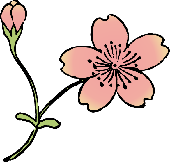殿桜の浮世絵イラスト素材 着色ver Ukiyoe Stock