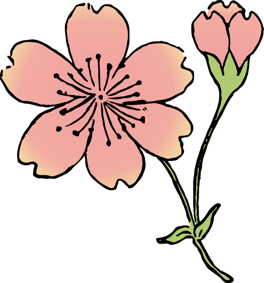 生け花 彼岸桜の浮世絵イラスト素材 Ukiyoe Stock