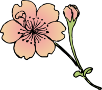 花 レンゲのイラスト素材 Ukiyoe Stock