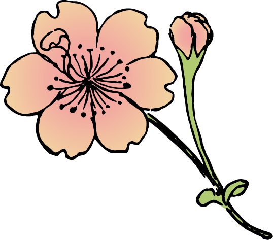帆立桜の浮世絵イラスト素材 着色ver Ukiyoe Stock