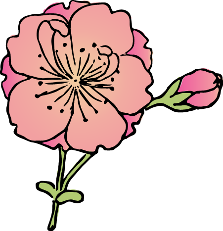 帆掛桜の浮世絵イラスト素材 着色ver Ukiyoe Stock